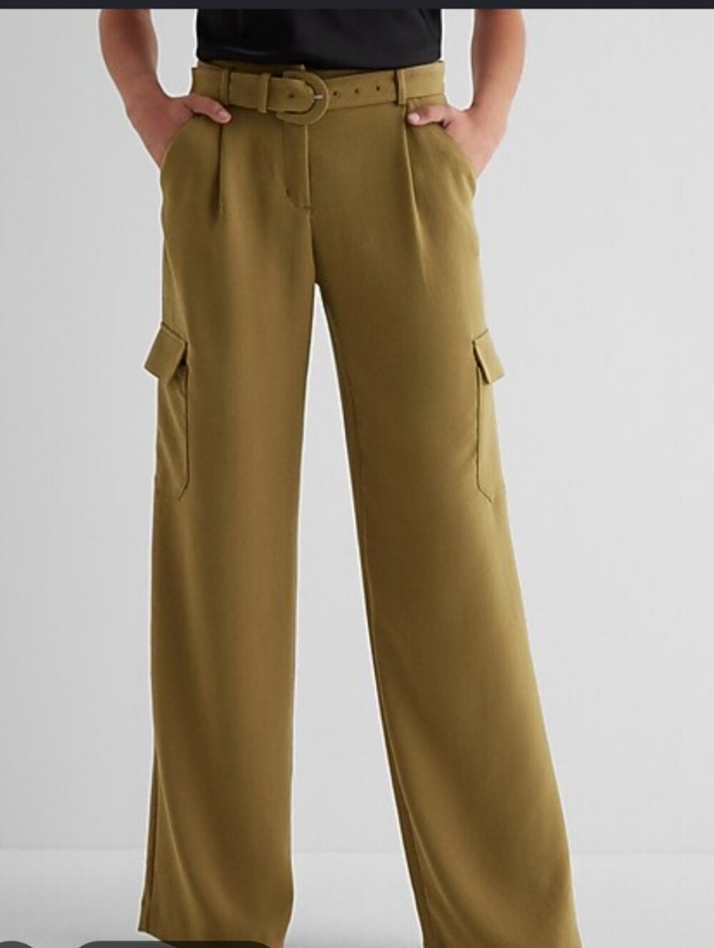 Express Women's High-Rise Cargo Wide-Leg Pleated Woven Pants green 6R euc